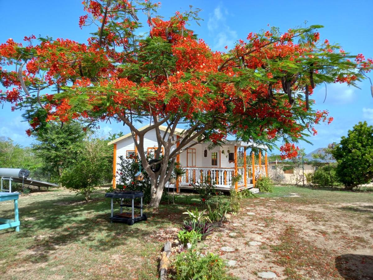 Bungalow Au Soleil Saint-Francois  Esterno foto